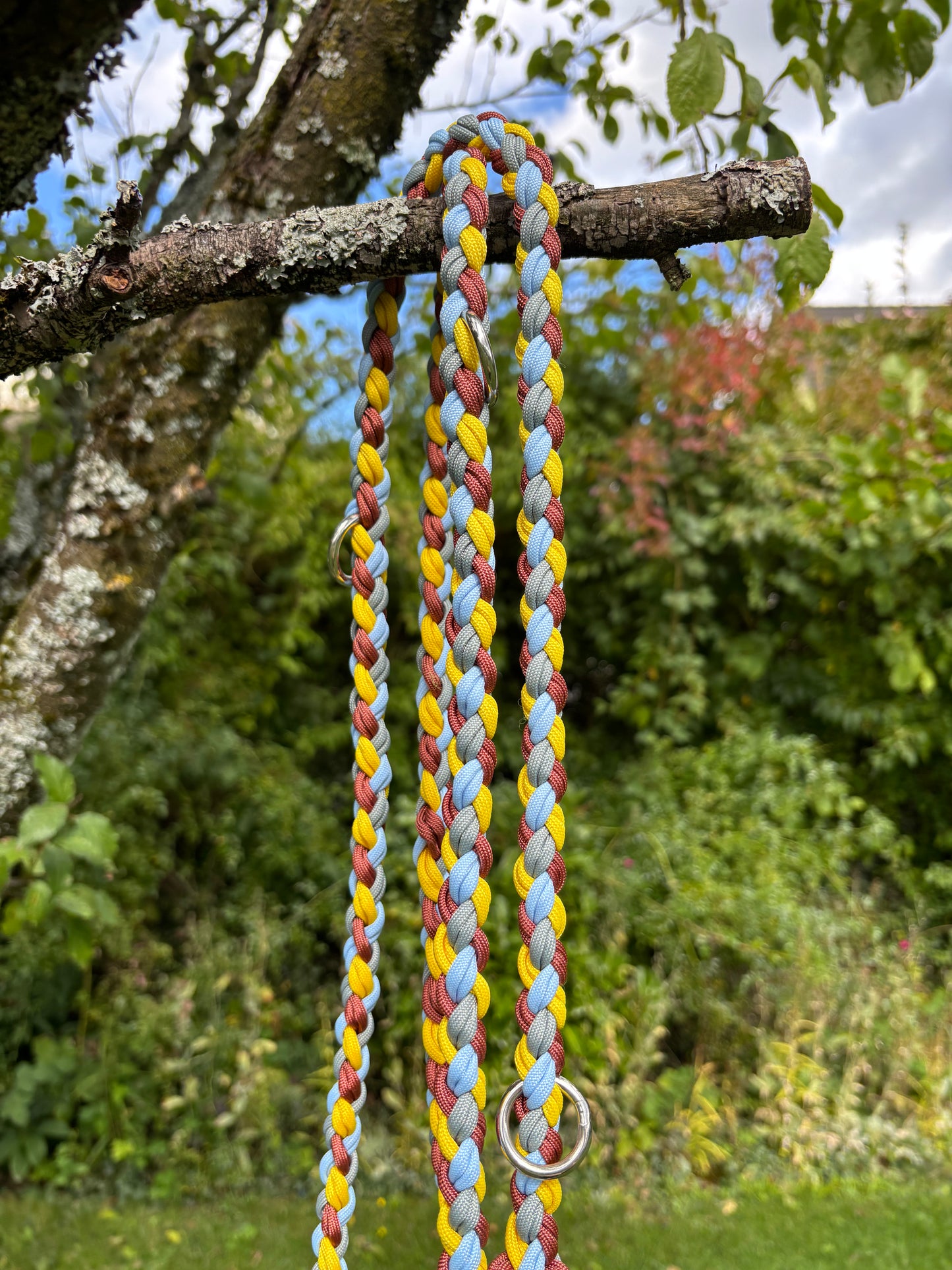 Hundeleine aus Paracord in braun, blau, gelb und grau