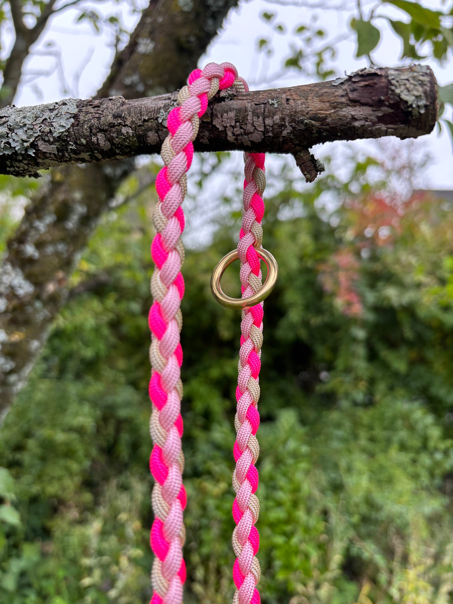 Hundeleine in Pink, Gold und rosa