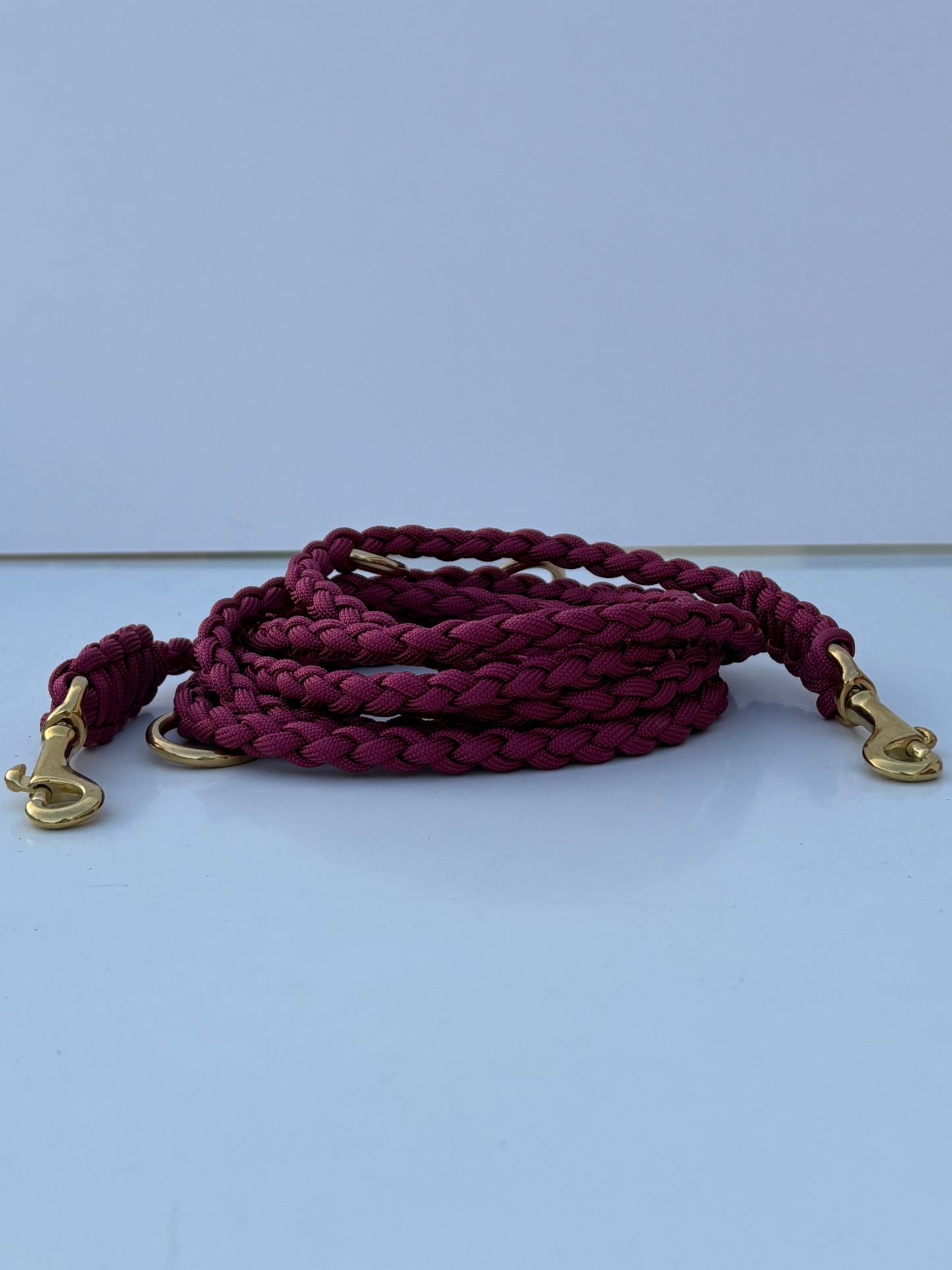Leine aus Paracord in beaurdox