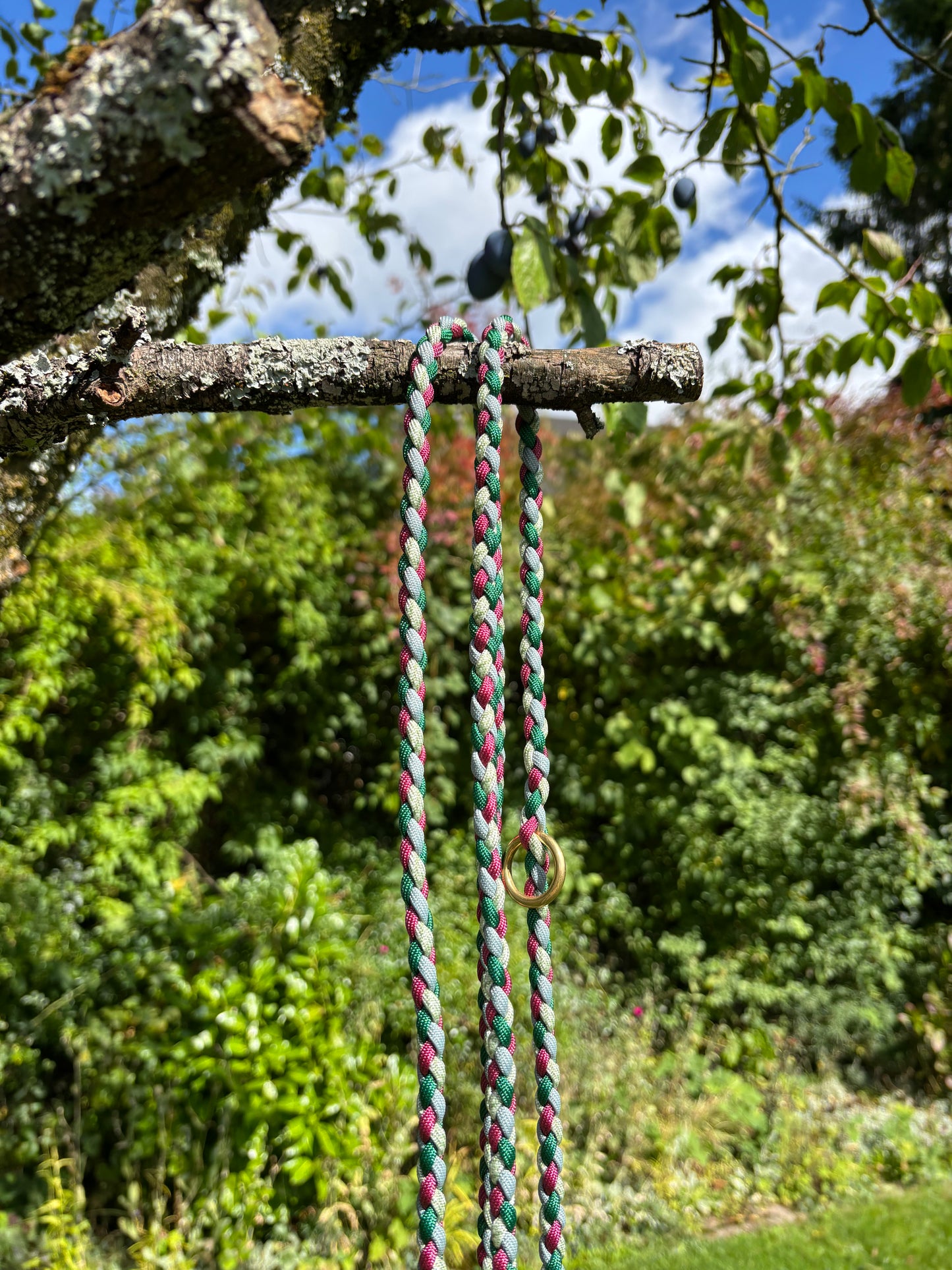 Leine aus Paracord in burgunder, hellgrün, grün, grau