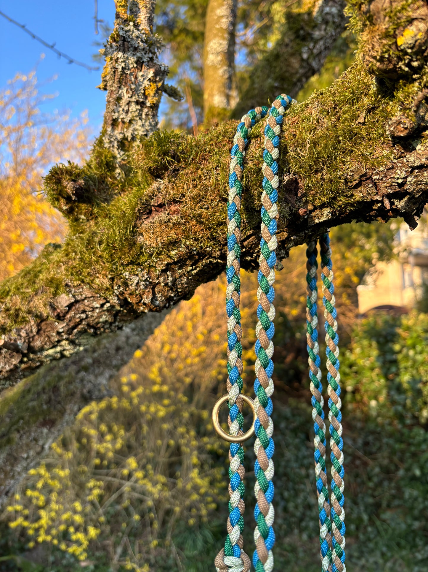 Leine in blau, braun und grün