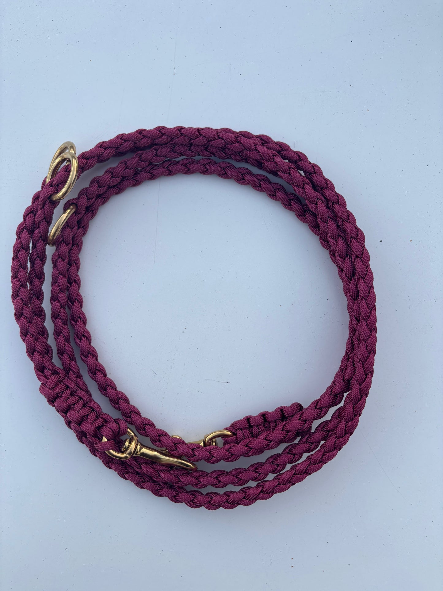 Leine in der Farbe beaurdox