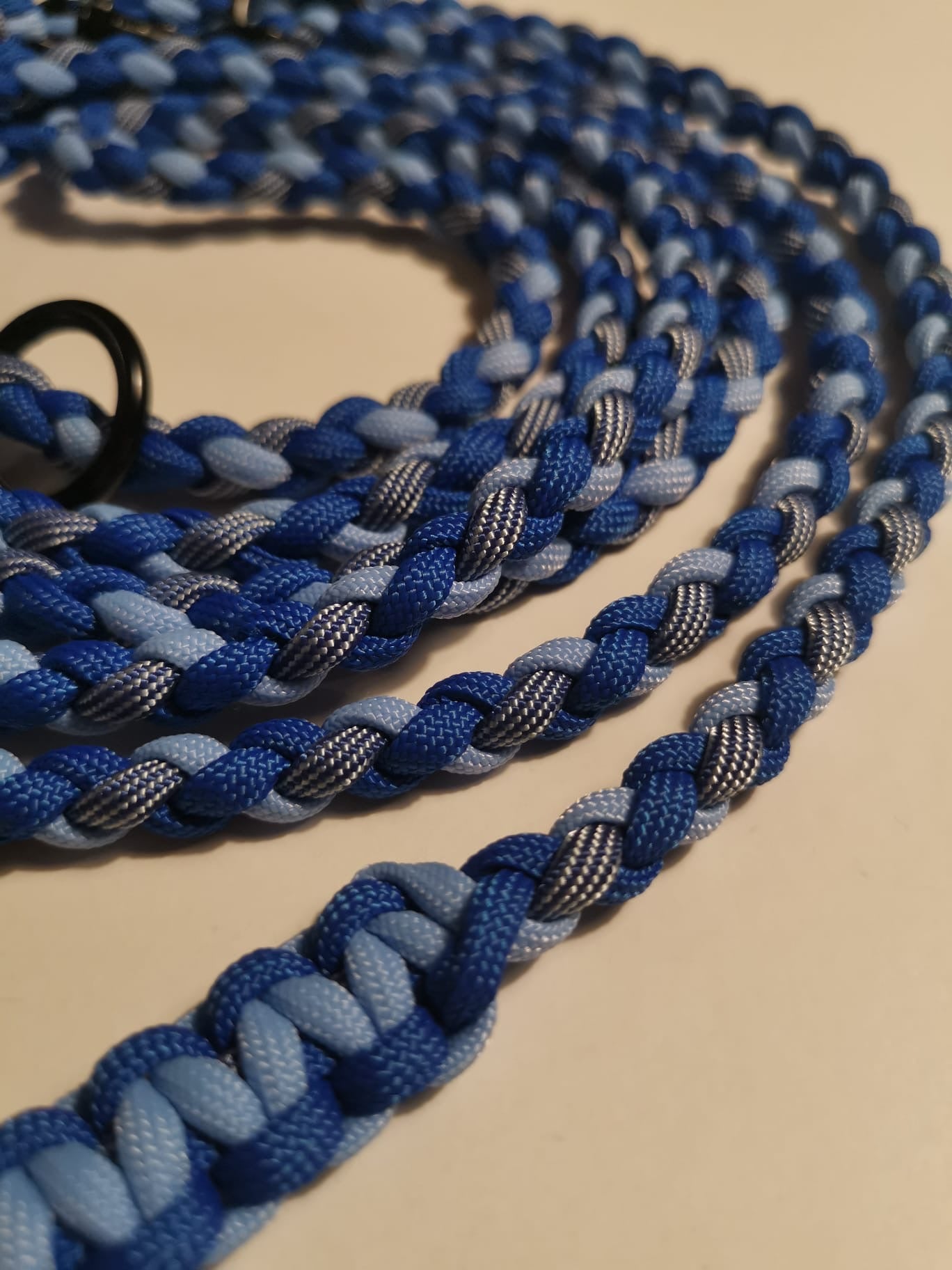 Paracorleine in blau
