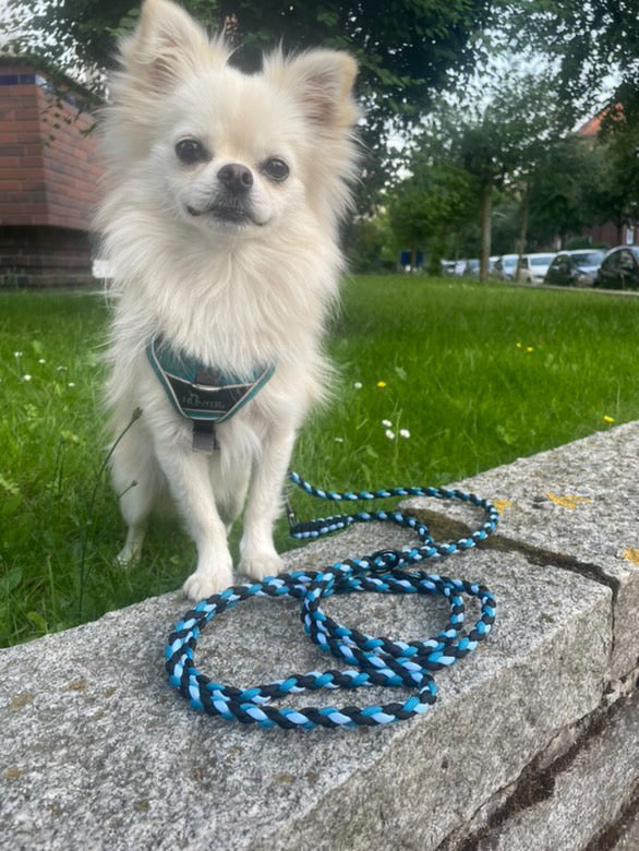 Paracordleine in den Farben blau, türkis und schwarz