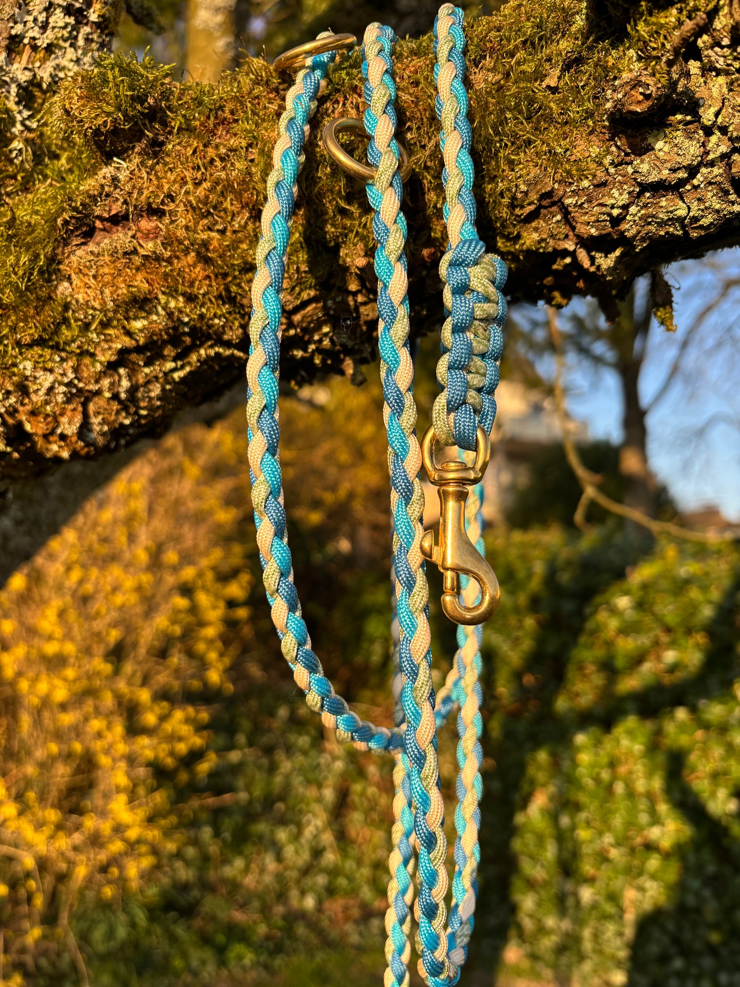 Hundeleine Leine in Blau, Türkis, Grün und Creme