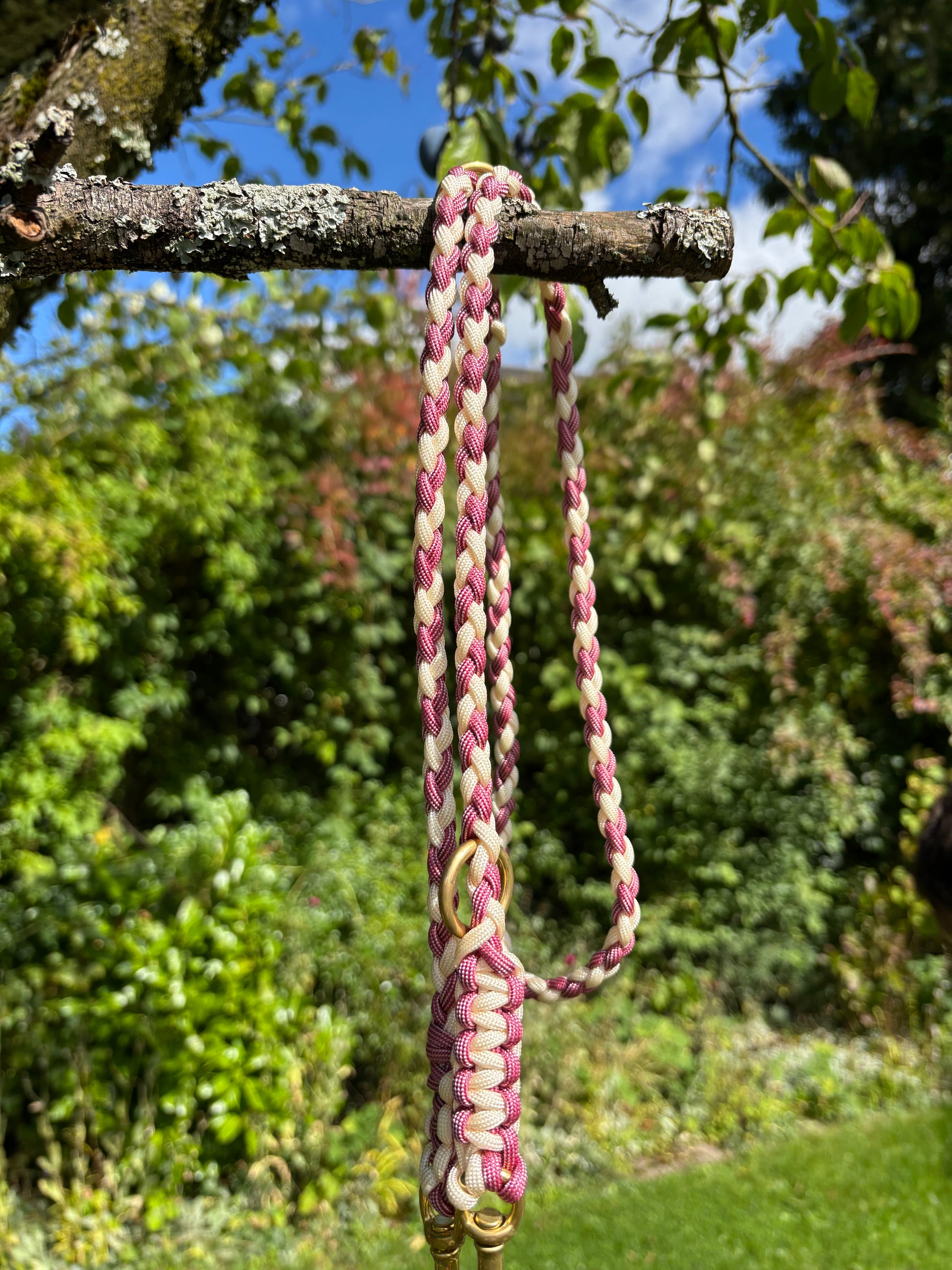 Hundeleine in rosa und weiß