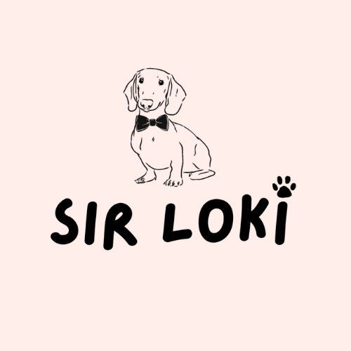 Sir Loki Onlineshop