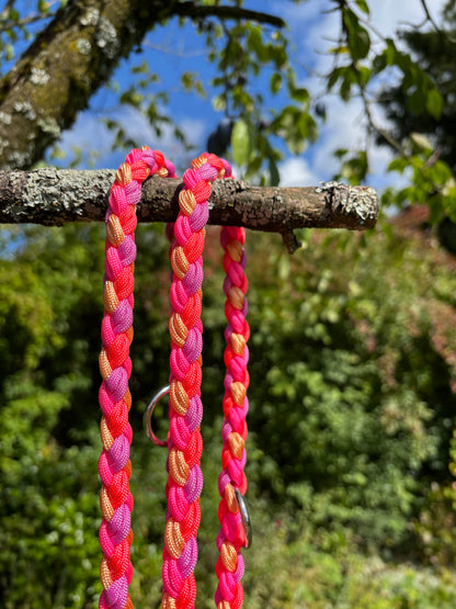 Leine aus Paracord in Pink, Orange, Gold und Lila
