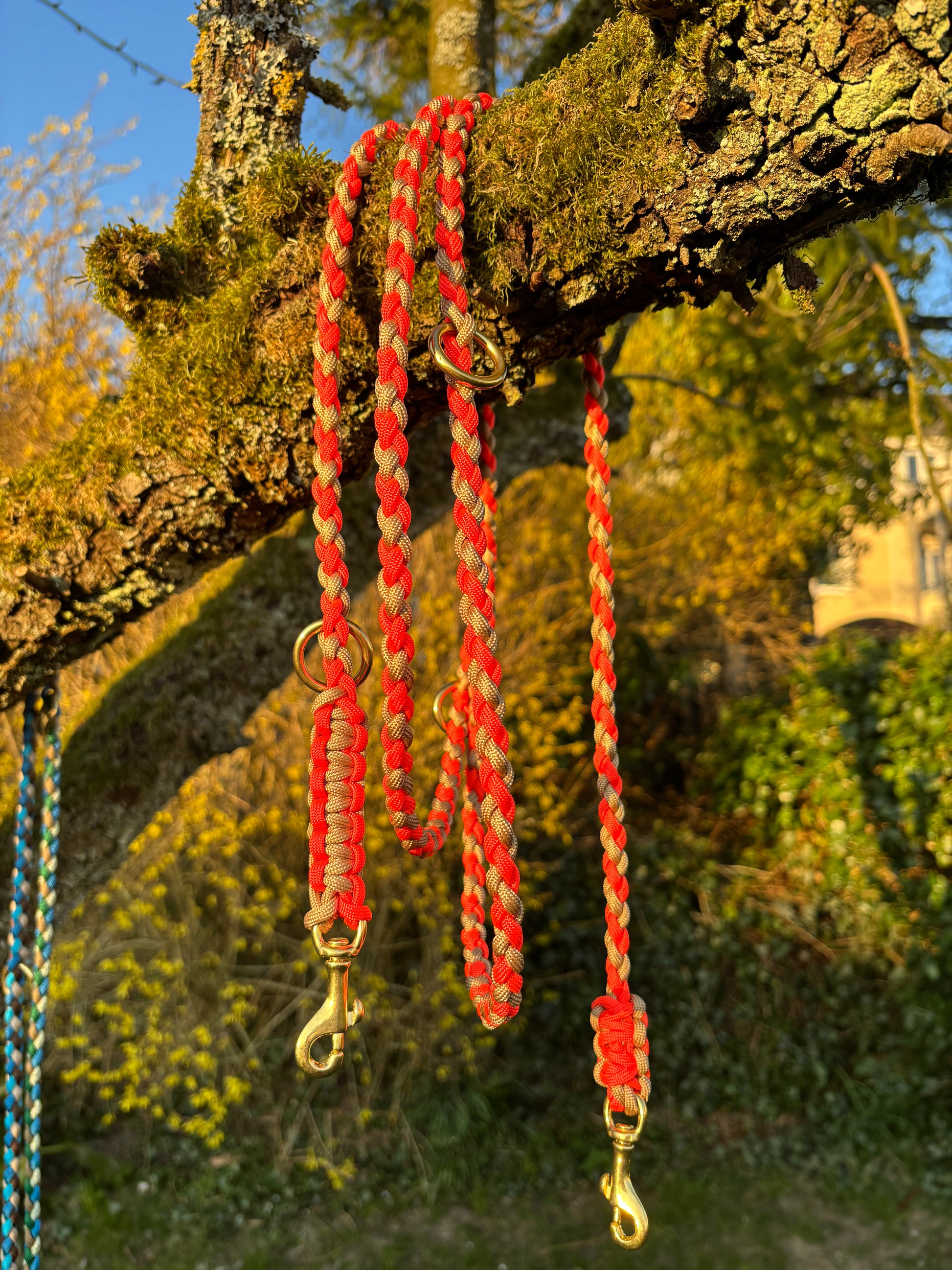 Leine aus Paracord in den Farben orange und gold