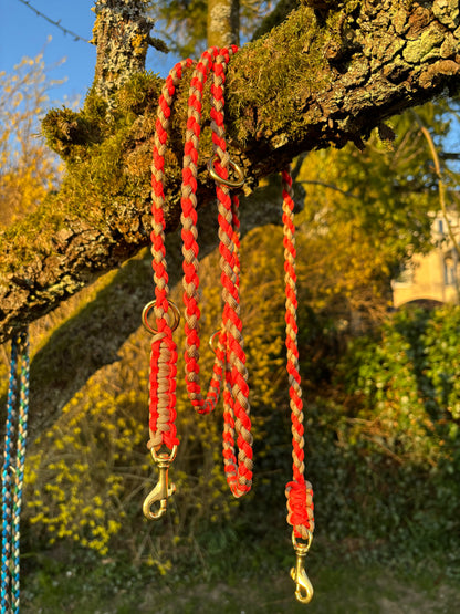 Leine aus Paracord in den Farben orange und gold