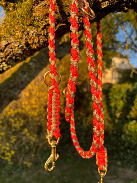 Leine aus Paracord in orange und gold