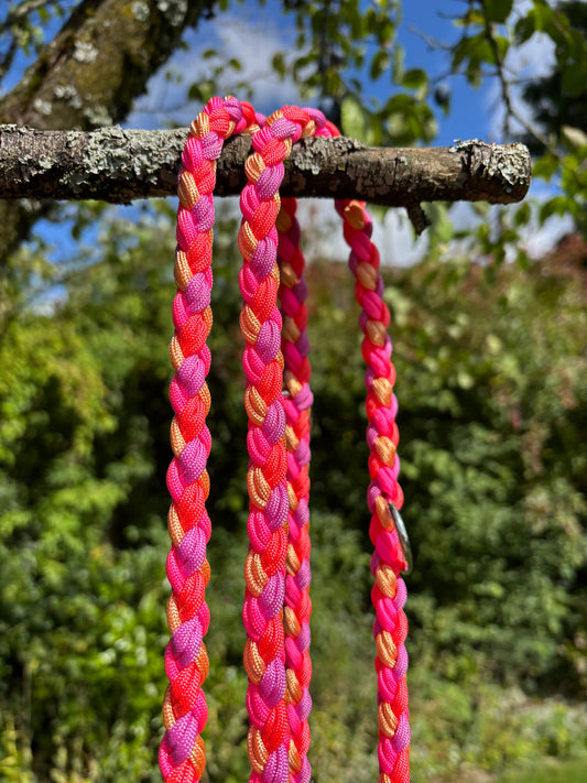 Leine in Pink, Orange, Gold und Lila