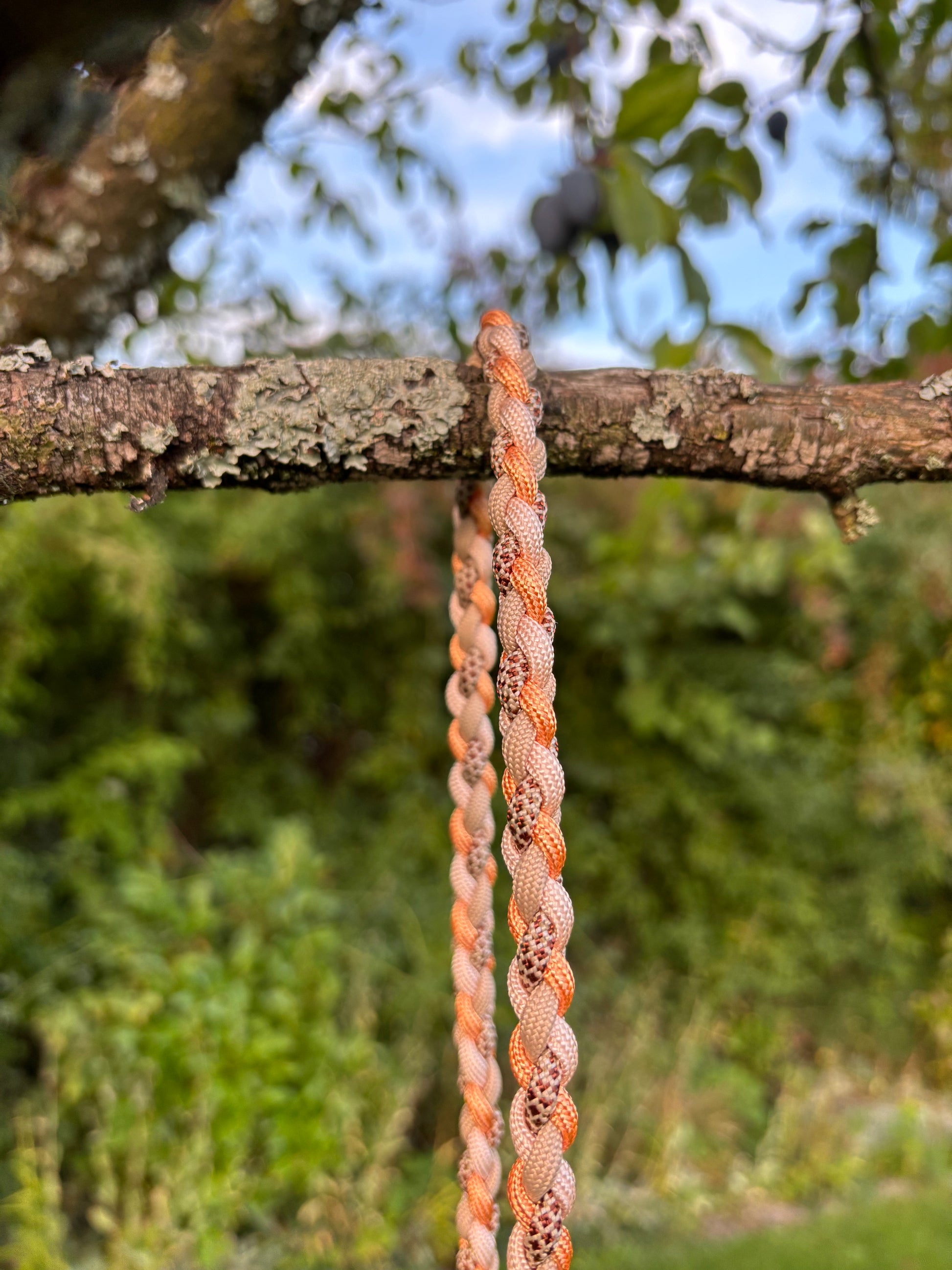 Leine in Rosa, Beige, Pastellorange und Le