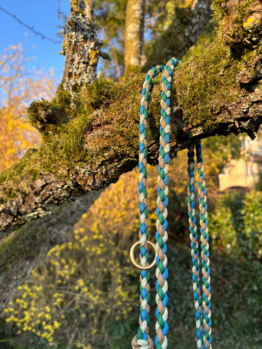 Leine in blau, braun und grün