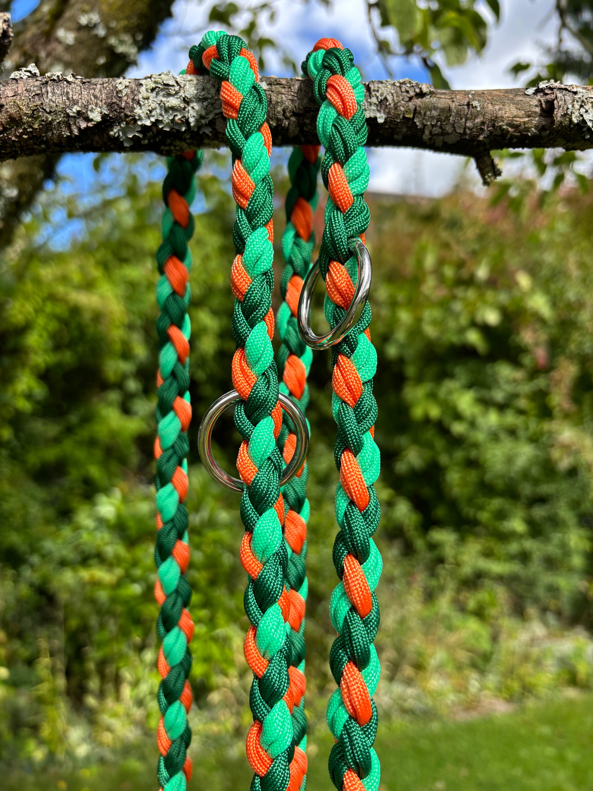 Leine in grün und orange