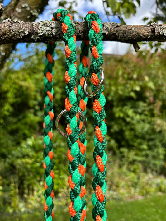 Leine in grün und orange