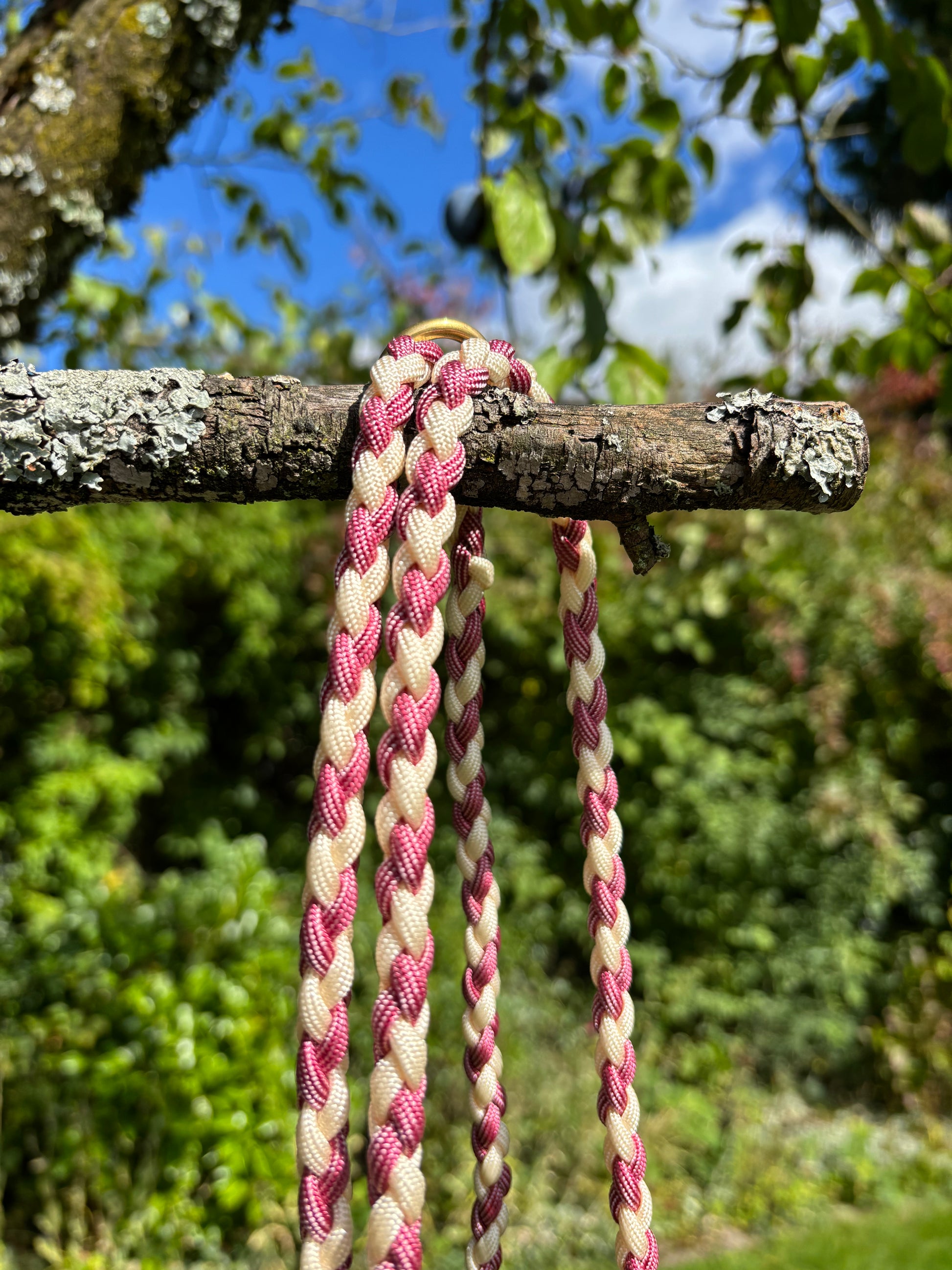 Leine in rosa und weiß