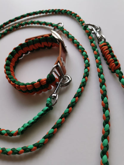 Leine und Halsband in den Farben grün und orange