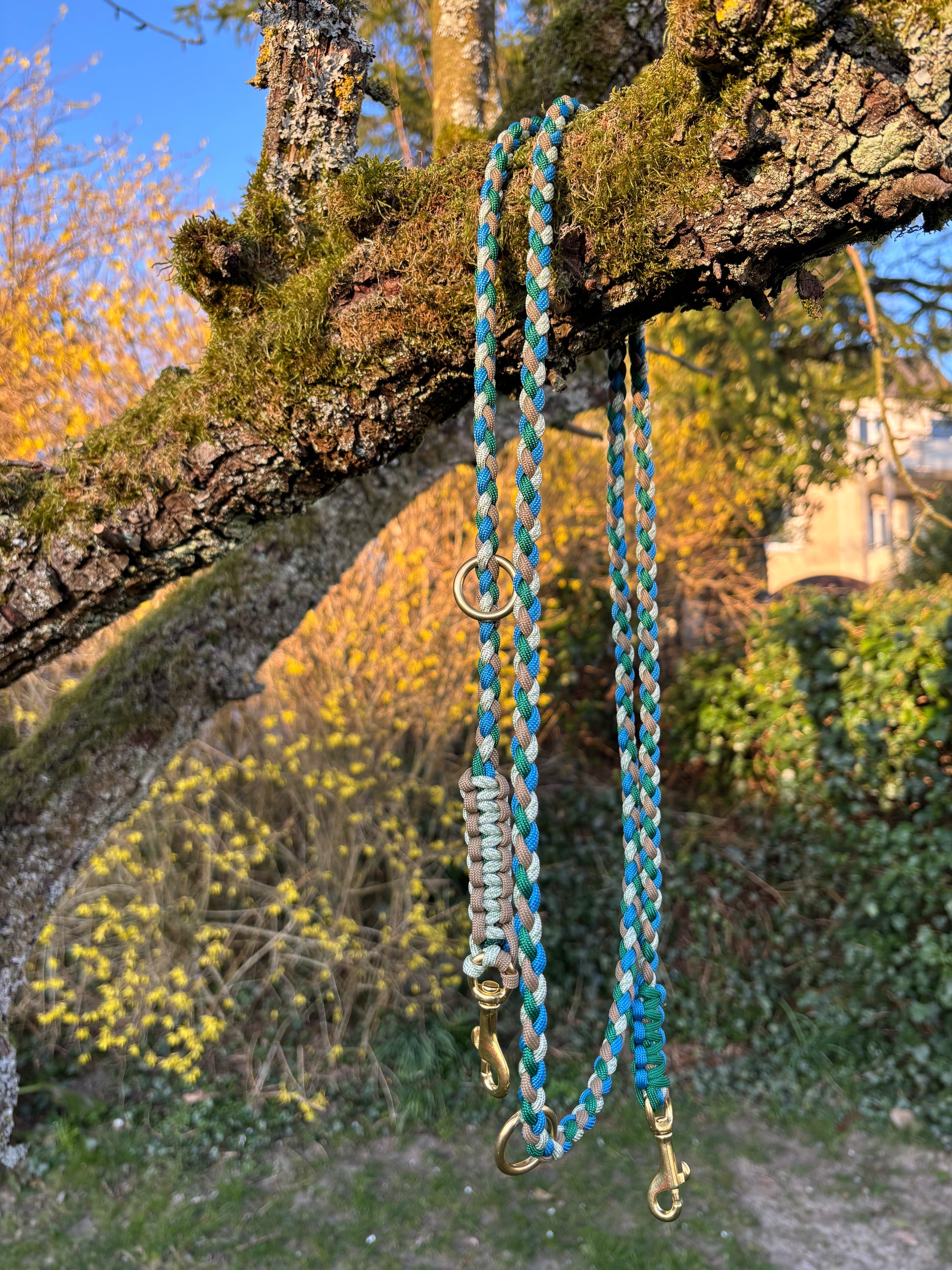 Paracordleine in blau, braun und grün