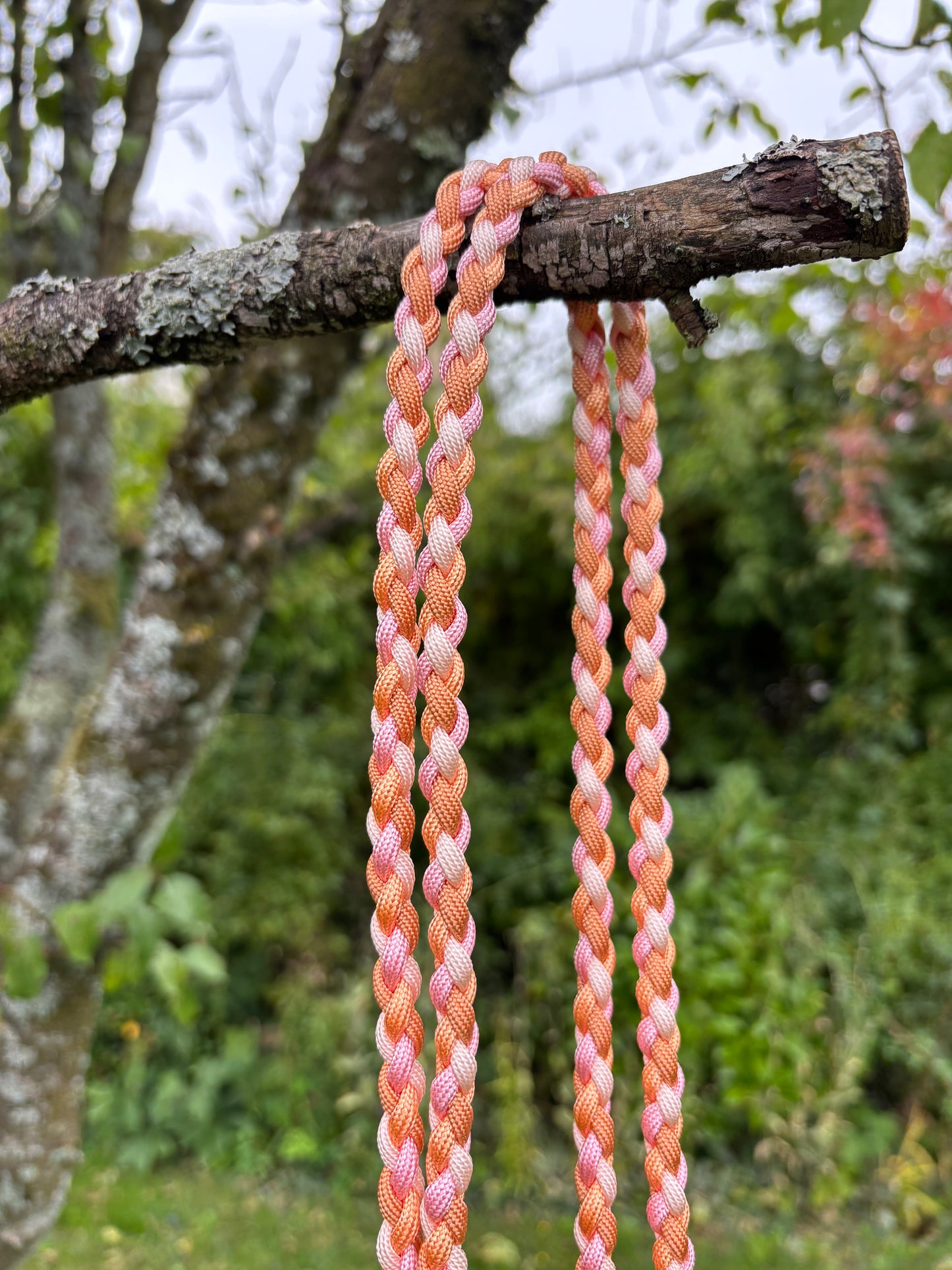 Sir Loki Leine in orange, weiß, rosa und Kupfer