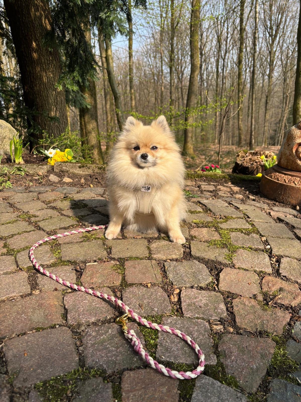 Zweispitz mit Paracordleine